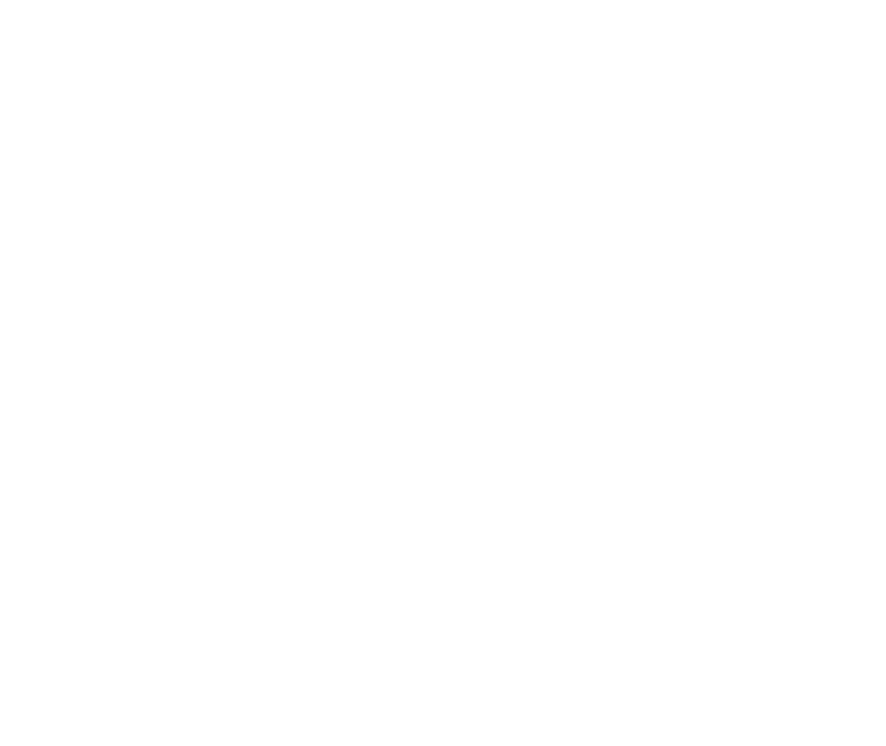 Bed Transport 95
